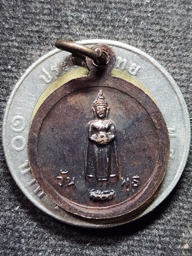 วัดพระนอนจักรสีห์วรวิหาร อำเภอเมือง จังหวัดสิงห์บุรี เหรียญสิงห์ หลังพระประจำวันพุธ