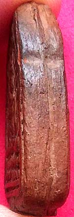 *พระกรุวัดบางยี่หน สุพรรณบุรี พิมพ์พุทธชินราช หลังพระสอง เนื้อดิน*