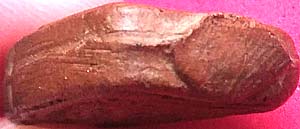 *พระกรุวัดบางยี่หน สุพรรณบุรี พิมพ์พุทธชินราช หลังพระสอง เนื้อดิน*