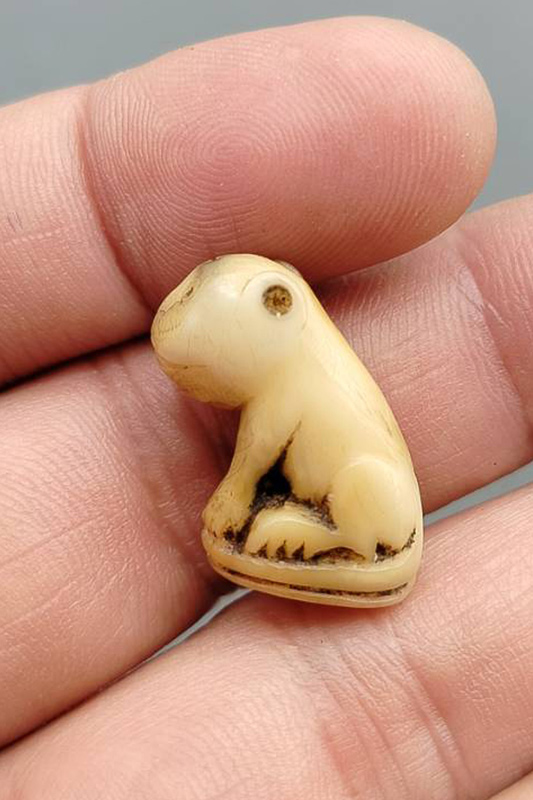 เขี้ยวเสือแกะ