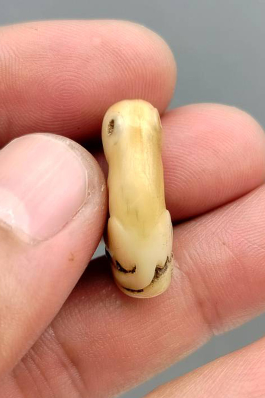 เขี้ยวเสือแกะ