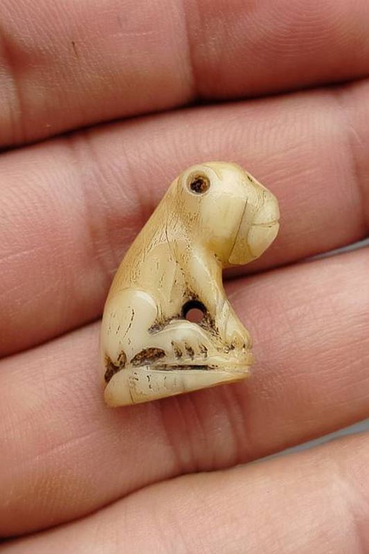 เขี้ยวเสือแกะ