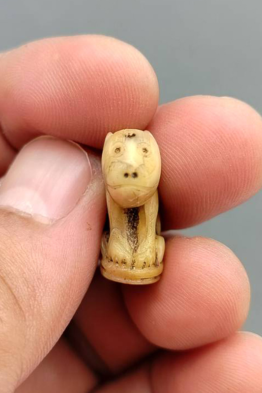 เขี้ยวเสือแกะ