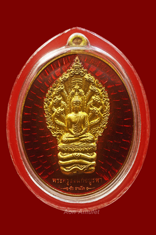 เหรียญนาคปรกเนื้อทองทิพย์ลงยาสีแดง รุ่น มงคลมหาลาภ หลวงปู่บัว ถามโก พ.ศ.2559 หมายเลข 953