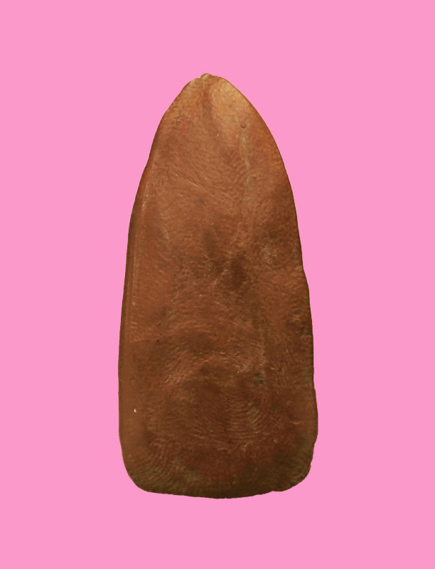 ขุนแผนเกศปลี เล็ก หลวงพ่อครื้น วัดสังโฆ