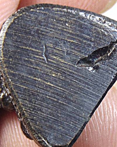 ๒๐ รูปหล่อหลวงพ่อทบ วัดชนแดน