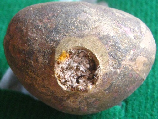 พระรูปเหมือน ญสส.100ชันษา พิมพ์เบ้าทุบ วัดบวรนิเวศวิหาร ปี2556หมายเลข408 เนื้อชนวนนำฤกษ์แก่ทอง+กล่อง