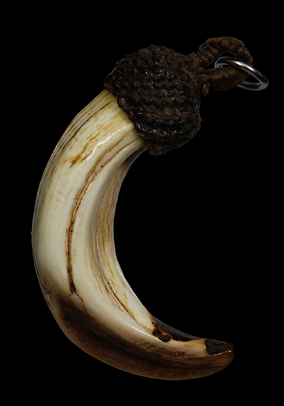 ""เvี้eวหมูตัน"" วัตถุอาถรรพ์เป็นของดีของทนสิทธิ์มีฤทธิ์ในตัว