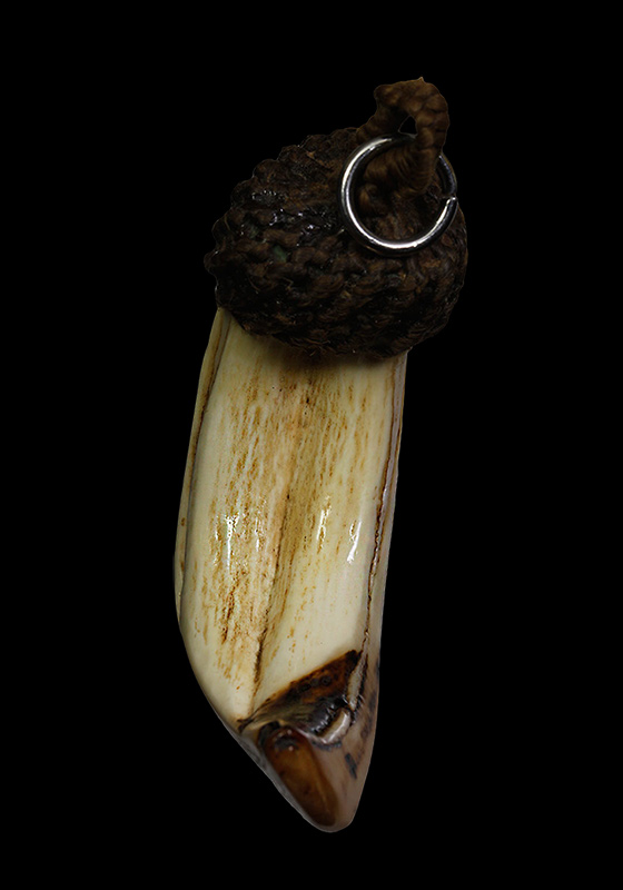 ""เvี้eวหมูตัน"" วัตถุอาถรรพ์เป็นของดีของทนสิทธิ์มีฤทธิ์ในตัว