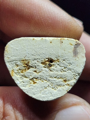 วัดพิกุลทอง สิงห์บุรี รูปเหมือนลอยองค์จัมโบ้ หลวงพ่อแพ ฝังตะกรุด รุ่นแซยิด 93 ปี 39 เนื้อผงพุทธคุณ