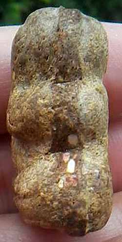 *ปิดตาวัดสะพานสูง พิมพ์ตะพาบ*