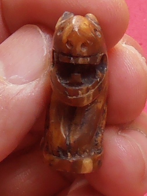 เสือ(เขี้ยวหมูป่า)