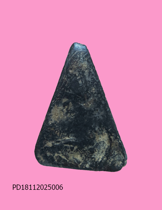 นางพญา เนื้อดินดำ