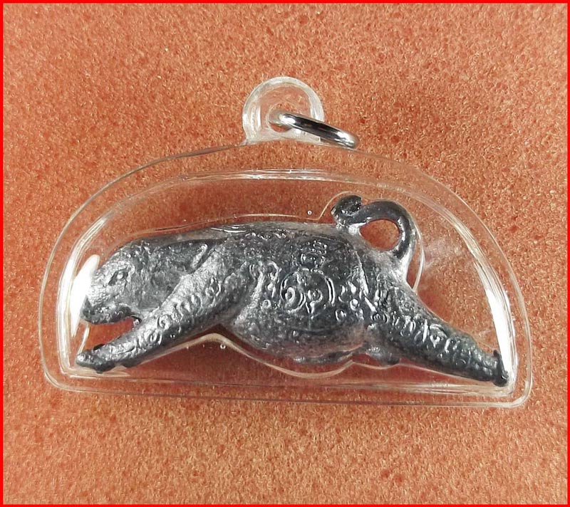 หมูพุทธคุณ (เตโชธาตุ) หลวงปู่ขุ้ย วัดซับตะเคียน จ.เพชรบูรณ์ เนื้อตะกั่ว ปี 2550 พร้อมเลี่ยม