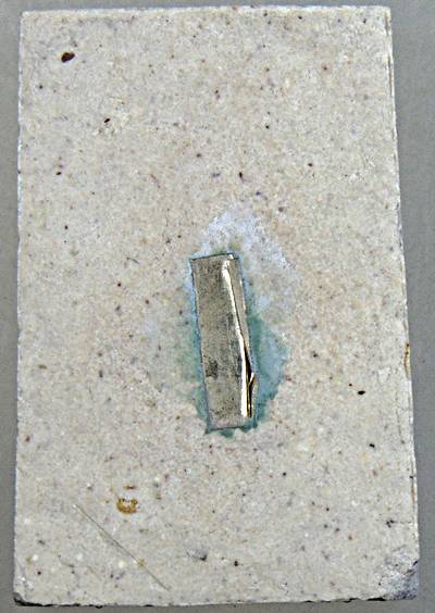 ๒๐ นกถึดทือ หลวงปู่บุดดา ปญฺญาธโร วัดป่าใต้พัฒนาราม จ.สระแก้ว