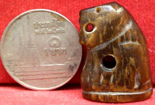 *เสือ เขาควายแกะ*