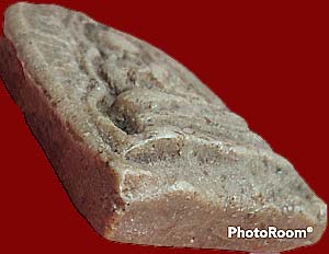 *พิมพ์พุทธชินราช เนื้อผงน้ำมัน หลวงปู่จันทร์ วัดนางหนู ลพบุรี ปี๒๔๙๔*