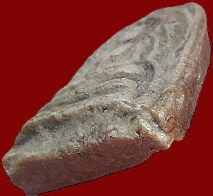 *พิมพ์พุทธชินราช เนื้อผงน้ำมัน หลวงปู่จันทร์ วัดนางหนู ลพบุรี ปี๒๔๙๔*