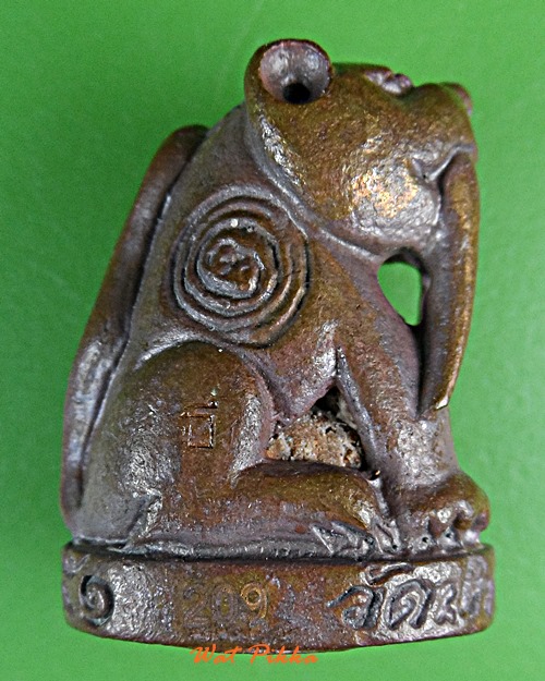 เสือเขี้ยวดาบหลวงพ่อสมชาย วัดปริวาสราชสงคราม กทม. .E529.