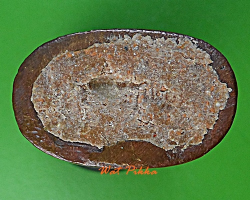 เสือเขี้ยวดาบหลวงพ่อสมชาย วัดปริวาสราชสงคราม กทม. .E529.