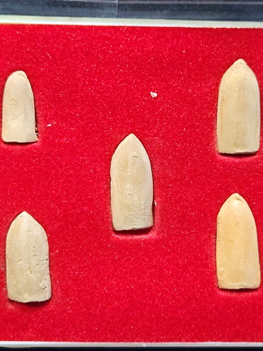 วัดมหาวัน จ.ลำพูน พระรอด  5 พิมพ์ รุ่น 1 สร้างที่ยมกปาฏิหาริย์สาวัตถีอินเดีย ปี 2535