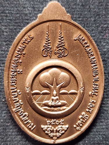 วัดห้วยด้วน นครสวรรค์ เหรียญหลวงพ่อพัฒน์ ปุญญกาโม รุ่น แทนคุณแผ่นดิน 101 ปี 2565