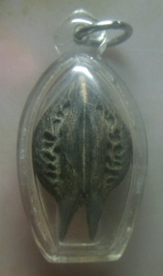 **เบาๆ**พญาเล็บครุฑ เครื่องรางไม้มหามงคล มหาอำนาจ ที่มีลักษณะเป็นเล็บ เหมือนเล็บพญาครุฑ**เลี่ยมสวย