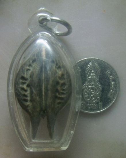 **เบาๆ**พญาเล็บครุฑ เครื่องรางไม้มหามงคล มหาอำนาจ ที่มีลักษณะเป็นเล็บ เหมือนเล็บพญาครุฑ**เลี่ยมสวย