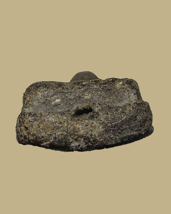 หลวงพ่อทวด วัดช้างให้ จ.ปัตตานี พิมพ์กลางลึกหน้าโหนก เนื้อว่าน ปี ๒๔๙๗