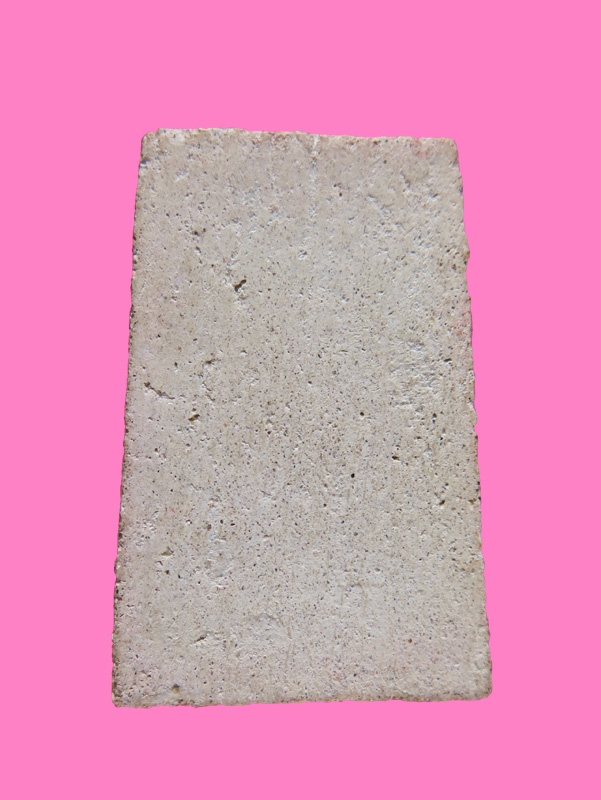 สมเด็จพระราชทานลูกเสือชาวบ้าน วัดระฆัง ปี 19