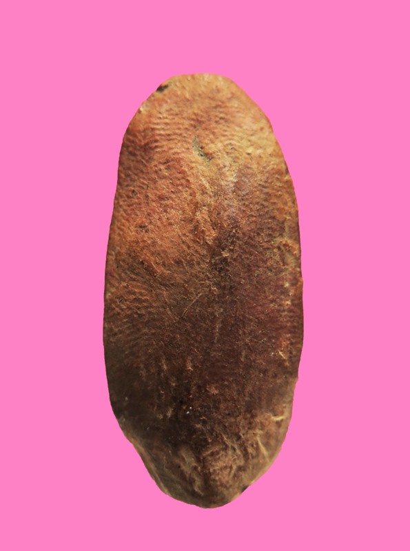 พระลีลาสวมมาลา เนื้อดิน เก่า