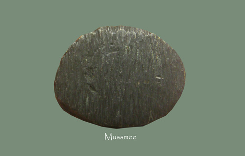 @@@พระกริ่งวัดพิชัยสงคราม สมุทรปราการ สวยยยยยยยยยยยยยยยย ### เคาะเดียว ### @@@