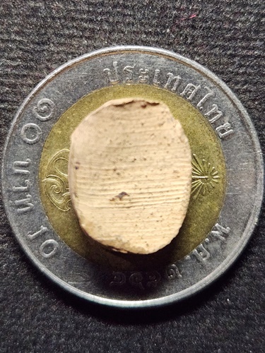 วัดไผ่โรงวัว สุพรรณบุรี พระเม็ดบัว หลวงพ่อขอม 2505 เนื้อดิน