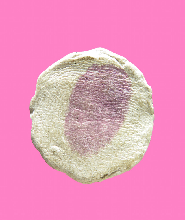 พระพิฆเนศ เนื้อผง พิมพ์สวยมาก