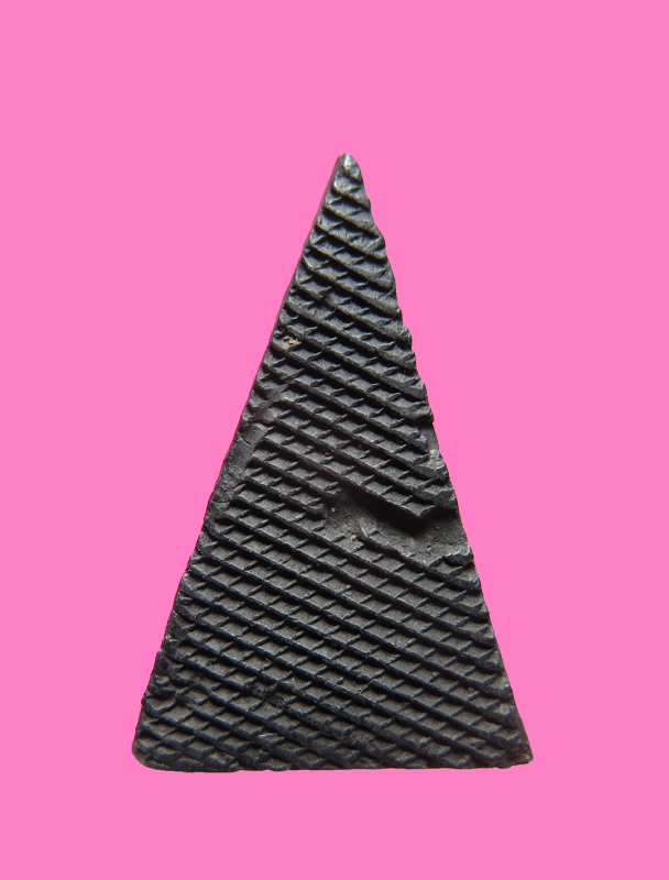 นางพญา หลังตะแกรง หลวงปู่เทียม วัดกษัตราฯ