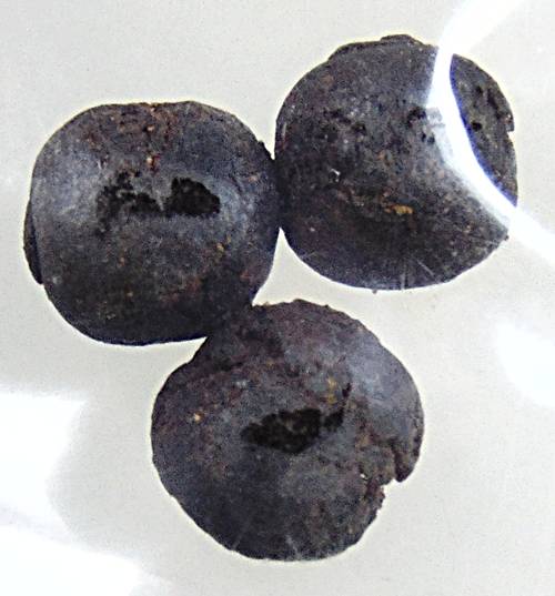 ลูกอมวาสนาจินดามณี หลวงปู่ทองอยู่ วัดท่าเสา สมุทรสาคร