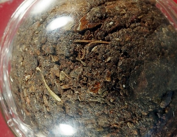 ลูกอมชานหมากพ่อท่านเขียว วัดหรงบน ปี 2518