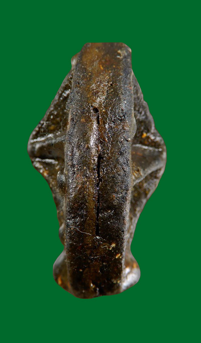 ดาวนายพล แม่เนื้อหอมยุคต้น (ดาวลายพราง) หลวงพ่อผินะ วัดสนมลาว จ.สระบุรี