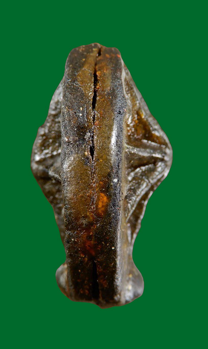 ดาวนายพล แม่เนื้อหอมยุคต้น (ดาวลายพราง) หลวงพ่อผินะ วัดสนมลาว จ.สระบุรี