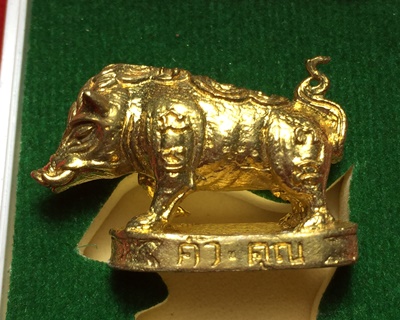 หมูมหามงคลคูณทอง หลวงพ่อคูณ วัดบ้านไร่ ปี2553 เนื้อทองทิพย์ ใต้ฐานอุดผงจีวรเกศา+ตะกรุด เลข3796+กล่อง