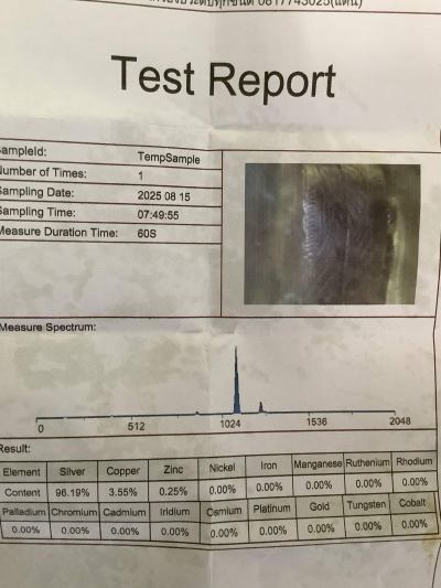 เหรียญเต่าหลวงปู่หลิว รุ่นเปิดโลก (พิมพ์ใหญ่)