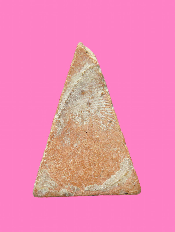 นางพญาเนื้อดิน มีเส้นคอ เก่า ไม่ทราบที่