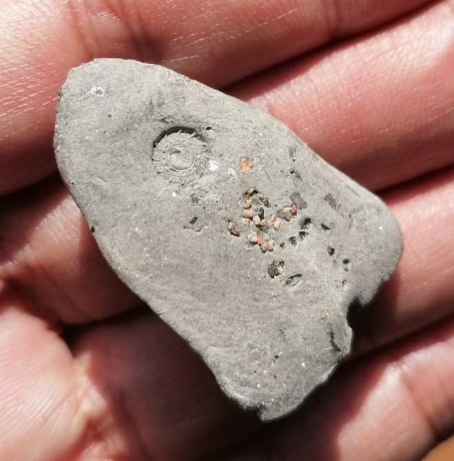 พระหลวงปู่ทวด​ หลังมีโค๊ตกงจักรึมชัด​ พร้องโรยแร่ไม่ทราบที่ เคาะเดียว   