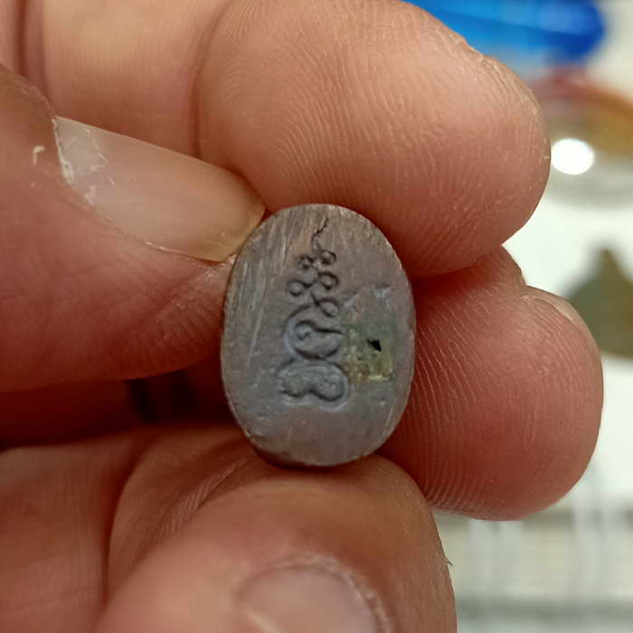 เสือหลวงพ่อปาน วัดมงคลโคธาวาส (บางเหี้ย) จ.สมุทรปราการ ปี 2522 เนื้อนวโลหะกลับดำ UNC เลยก็ว่าได้ 