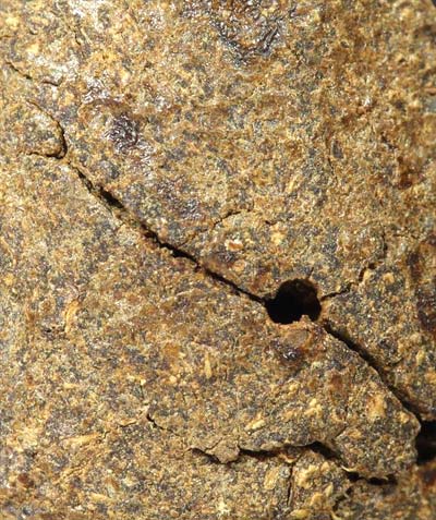 กลีบบัว เนื้อว่านเก่า