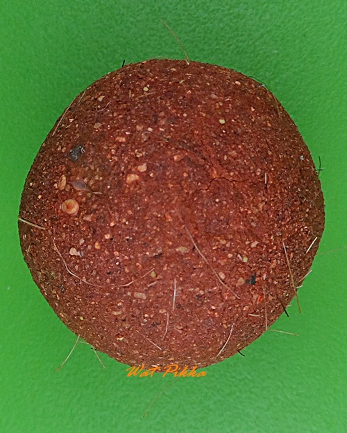 ลูกอมหลวงพ่อหลาย วัดคันลัด สมุทรปราการ .2.