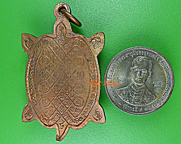 เต่าหลวงปู่หลิว ปุณฺณโก วัดไร่แตงทอง นครปฐม .121.