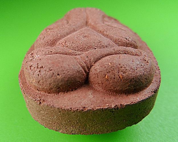 พระปิดตาหลวงปู่บุญหนา วัดป่าโสตถิผล สกลนคร .217.