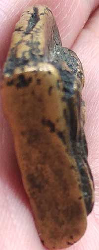 *เหรียญหล่อฯพ่อโต หลังยันต์นูน หลวงปู่ชู วัดนาคปรก ฝั่งธนฯ*