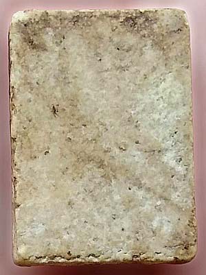 *พระผงมฤคทายวัน ปี๒๔๖๖ พิมพ์พุทธชินราชจิ๋ว หลังเรียบ หลวงปู่นาค วัดหัวหิน ปลุกเสก*